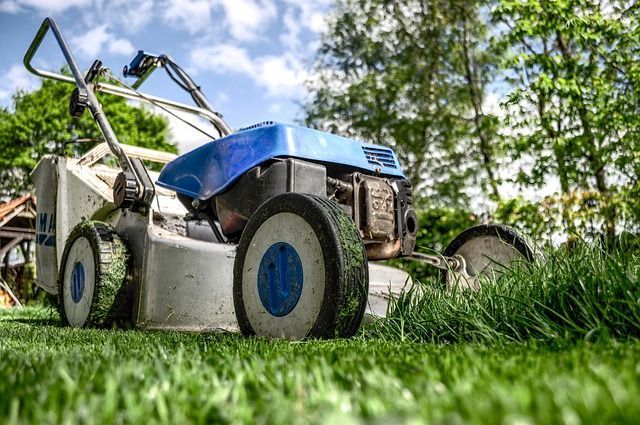 Eisheilige: Start in die Gartensaison